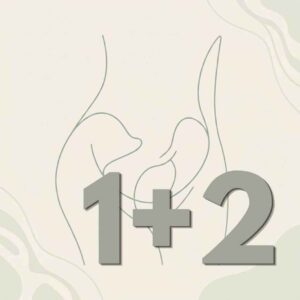 Zvýhodnený balíček (Online program 1 + 2)